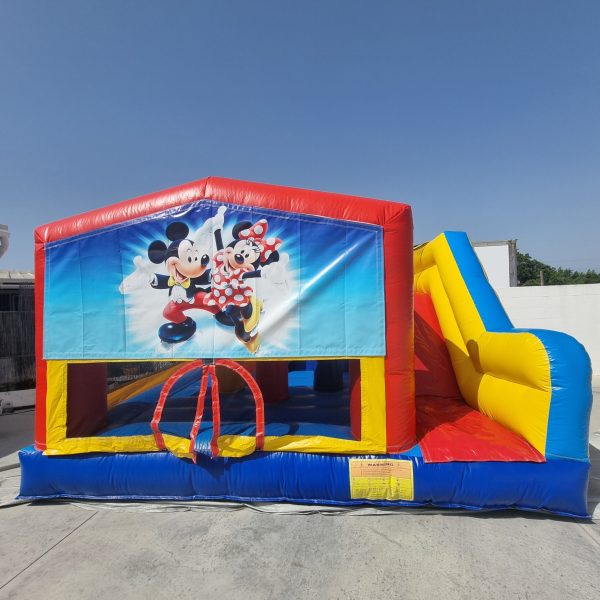 15_MM_1 Minnie e Mickey