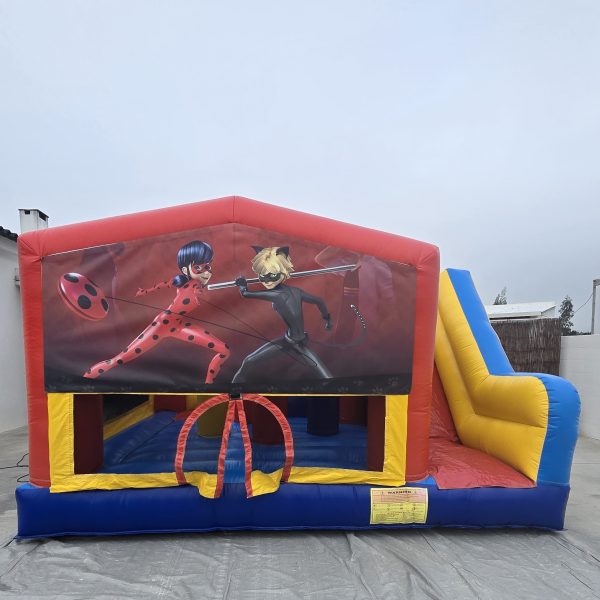 19_Ladybug_1 LadyBug