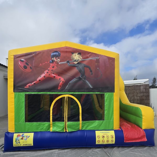 19_Ladybug_3 LadyBug