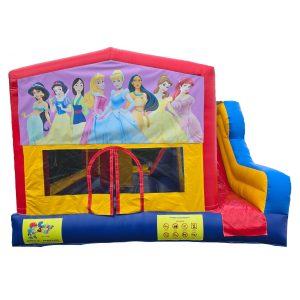 20250507_133246 Princesas