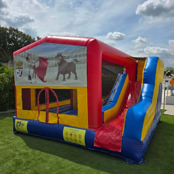 20250507_151703 Touro Lindo