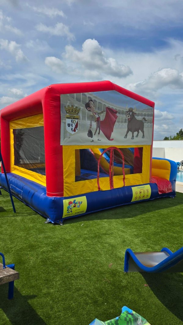 20250507_151720 Touro Lindo