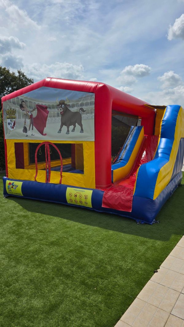 20250507_151742 Touro Lindo